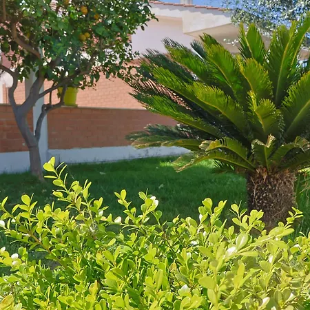 Lella - Tevere Ardea